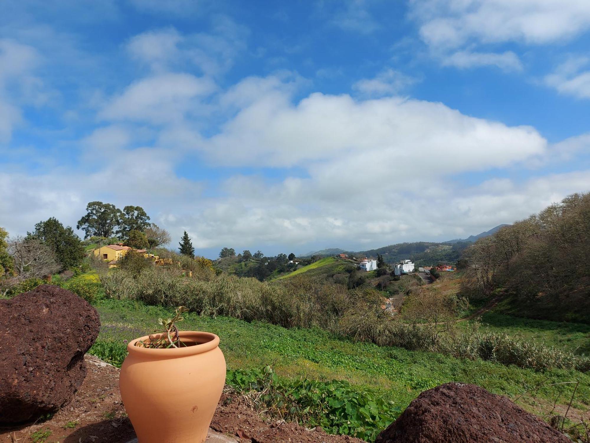 Finca Naturacanaria Мойя Экстерьер фото