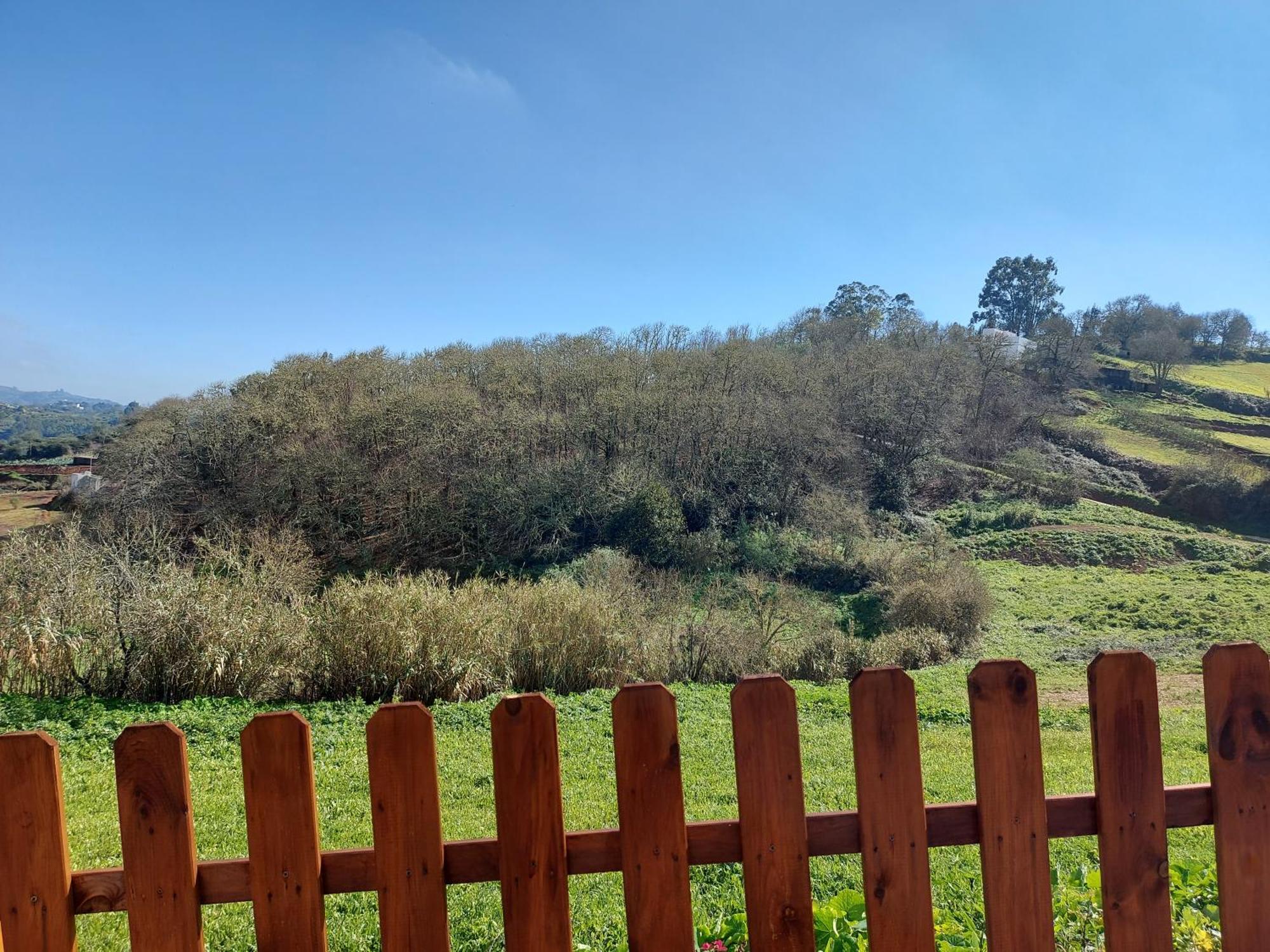 Finca Naturacanaria Мойя Экстерьер фото